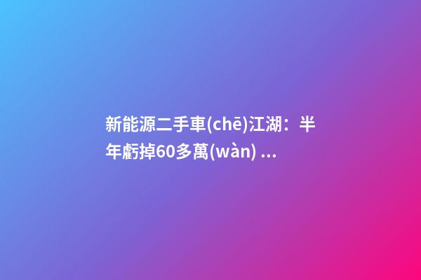 新能源二手車(chē)江湖：半年虧掉60多萬(wàn)，心情像過(guò)山車(chē)